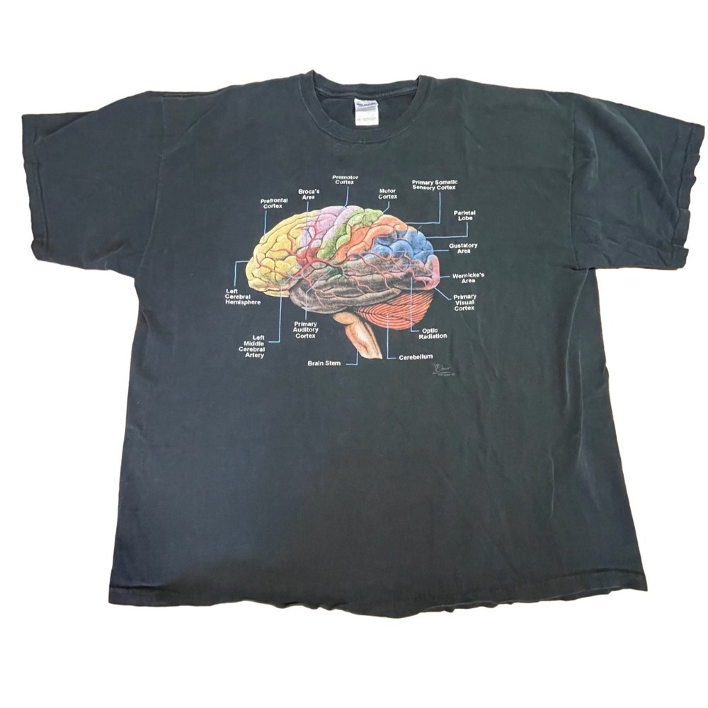Brain Anatomy Diagram Graphic T-Shirt Black Gildan 2XL Wid Cotton